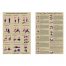 PO0260-20POPCPREN Prenatal Poster Chart