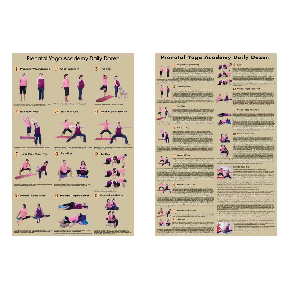 Prenatal Yoga Chart Med - Laminated