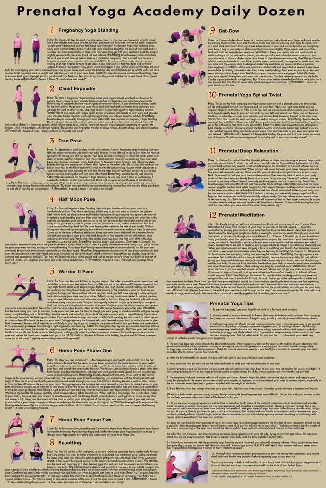 Prenatal Yoga Floor Chart - Laminated