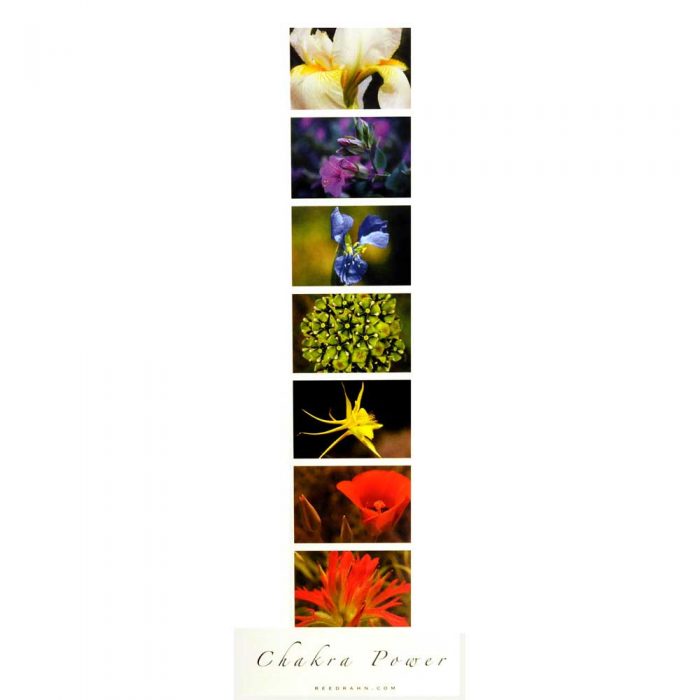 Chakra Flower Power Poster 12 x 36