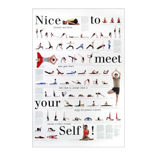Nice to Meet Yourself Poster 24 x 36
