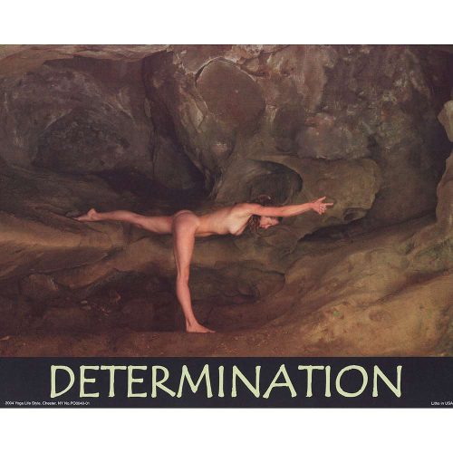 PO0040-108x10 Determination Poster