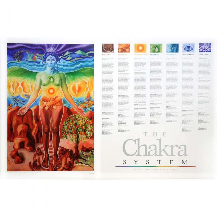 PO0100-40 The Chakra System Poster