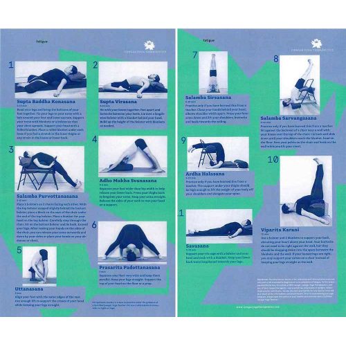 Iyengar Yoga Therapeutics Fatigue Chart